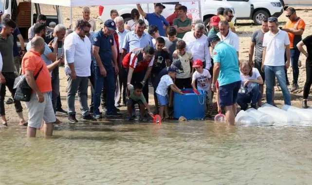 Muğla'daki baraj ve göletlere 370 bin sazan yavrusu bırakıldı