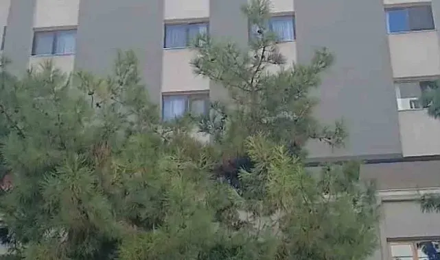 Öğretmenevi duvarından kopan beton parçaları korkuttu