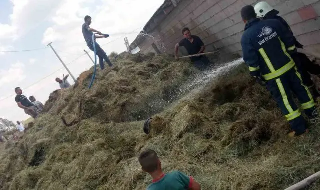 Özalp'te bin bağ ot yandı