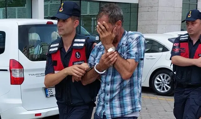 Jandarmanın sahte ehliyet operasyonda gözaltına alınanlar serbest bırakıldı