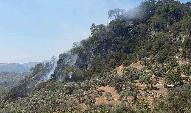 Germencik'teki orman yangını kontrol altına alındı