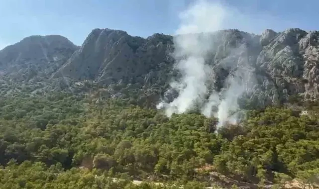 Antalya'daki orman yangını kontrol altına alındı