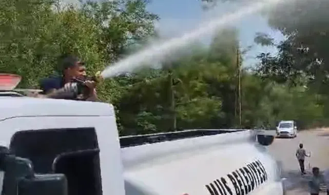 Muş'ta mezarlık yangını