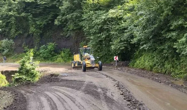 Trabzon'da şiddetli yağış su taşkınları ve toprak kaymalarına neden oldu