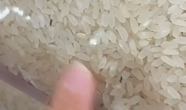 Elazığ'da paketli bir pirinç içerisinde böcekler görüntülendi