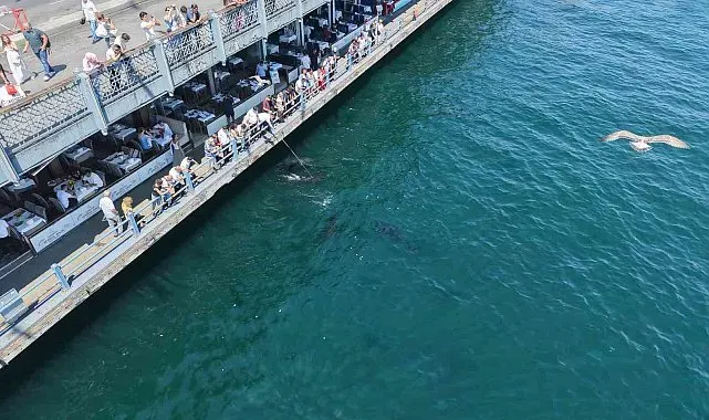 Boğazın devleri Eminönü kıyısında