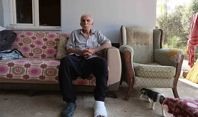 Yaşlı adama çarpıp hiçbir şey olmamış gibi yoluna devam etti