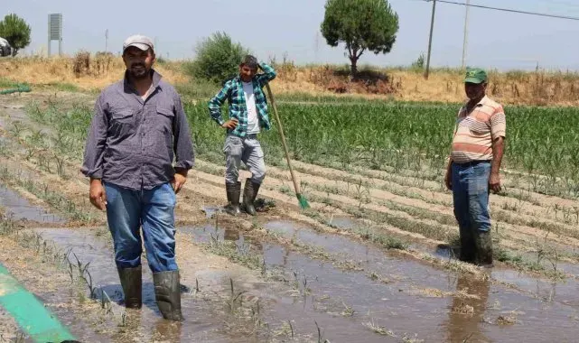Gençlerin masa başı iş sevdası Türk tarımına alarm verdiriyor