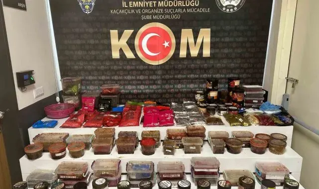 3 iş yerine baskın yapan ekipler 70 kilogram kaçak nargile tütünü ele geçirdi