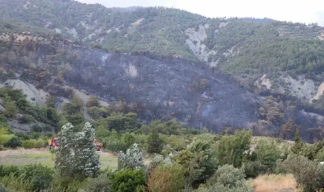 Havadan ve karadan müdahaleyle kontrol altına alınan yangında yaşananları muhtar anlattı