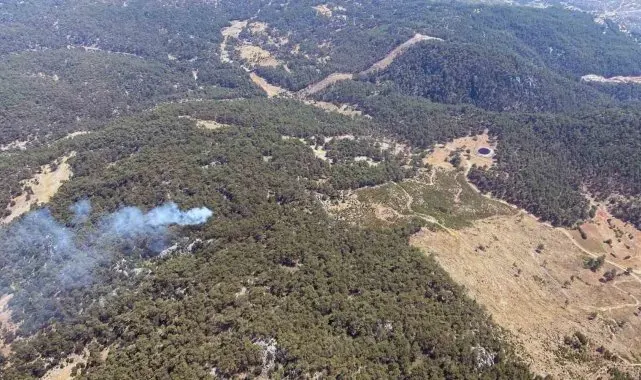 Muğla'da bir günde 11 yıldırım yangını