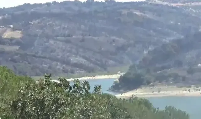 Çanakkale'de orman yangınını kontrol altına alma çalışmaları sürüyor