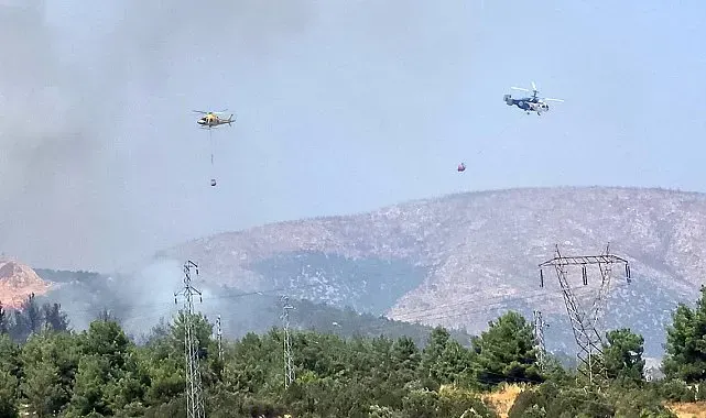 Bilecik'te ormanlık alanda yangın başladı