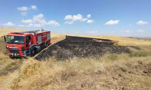 Çorum'da 15 hektar ekili arazi yangında kül oldu