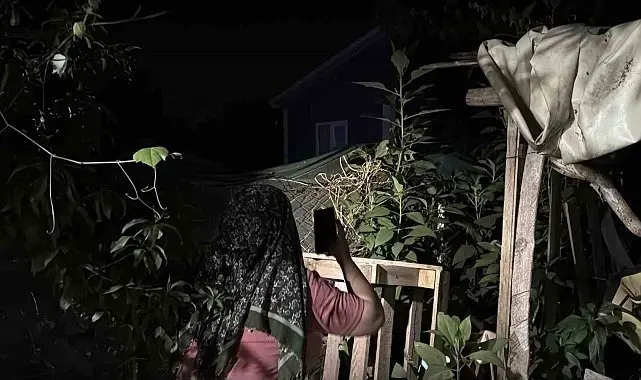 Bir tıkırtı yetiyor, herkes sokağa fırlıyor: Gece saatlerinde fenerlerle iz sürüyorlar