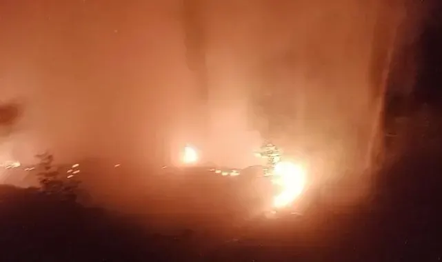 Alanya'da ormanlık alan yangınında 2 dönüm alan zarar gördü