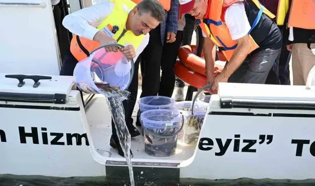 Eğirdir Gölü'ne 1 milyon 100 bin yavru sazan balığı bırakıldı