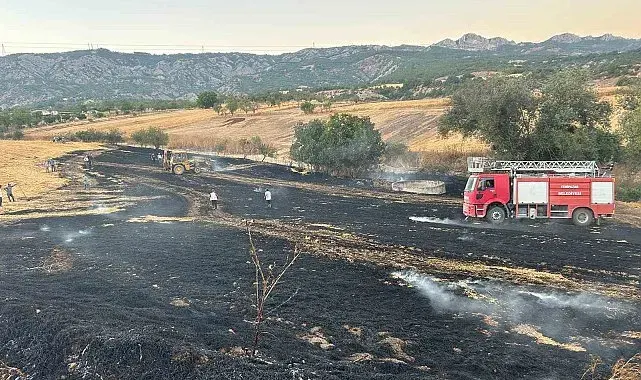 Bilecik'te biçilmiş buğday tarlasında yangın çıktı