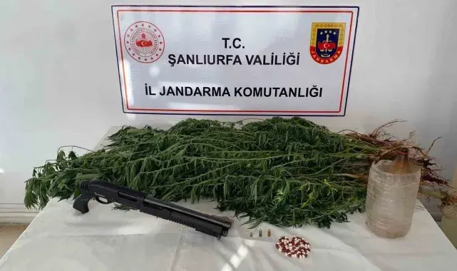 Siverek'te uyuşturucu operasyonu: 2 gözaltı
