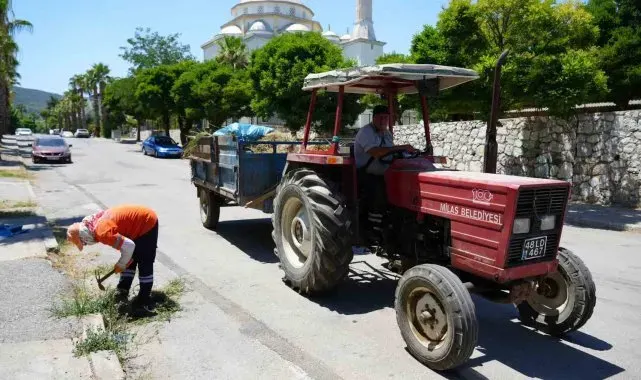 Milas Belediyesi ekipleri temizlik çalışmalarına devam ediyor