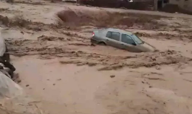 Ağrı'da yıldırım düşmesi sonucu çoban yaralandı