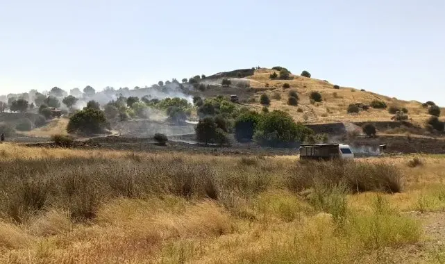 Aliağa'daki otluk yangınına havadan ve karadan müdahale