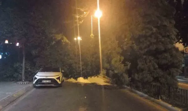 Aydın'da devrilen araç park halindeki otomobile zarar verdi