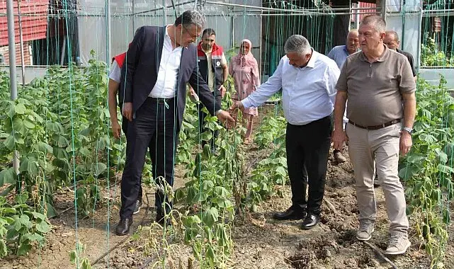 Çarşamba Ovası'nda sağanağın bilançosu ağır: 30 mahallede 5 bin dekar zarar