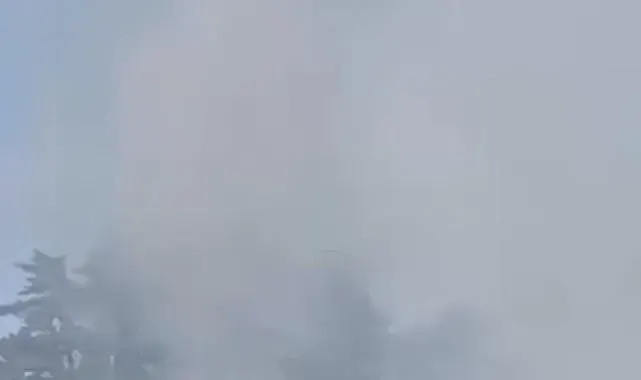 Düzce'de orman yangını kısa sürede söndürüldü