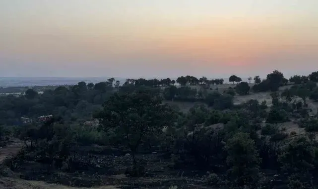 Uşak'ta makilik alanda çıkan yangın söndürüldü