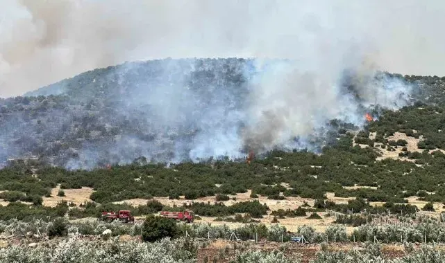 Kahramanmaraş'ta makilik alanda çıkan yangın kontrol altına alındı