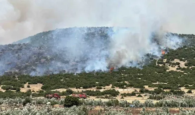 Kahramanmaraş'ta makilik alanda yangın