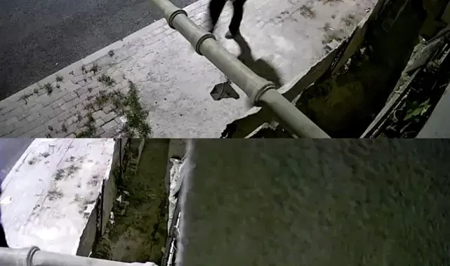 Bıçaklı saldırının şüphelileri 1 kilometre kaçamadan yakalandı