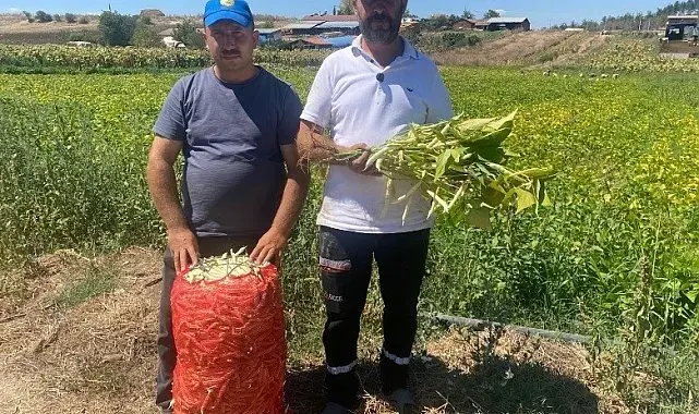 Şeker fasulye yüzleri güldürdü