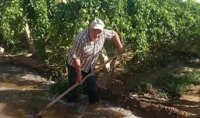 Sıcak havaya karşı üzüm bağlarına su takviyesi