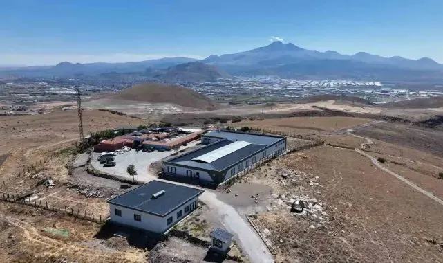 Büyükşehir 25 bin sokak hayvanına sahip çıktı