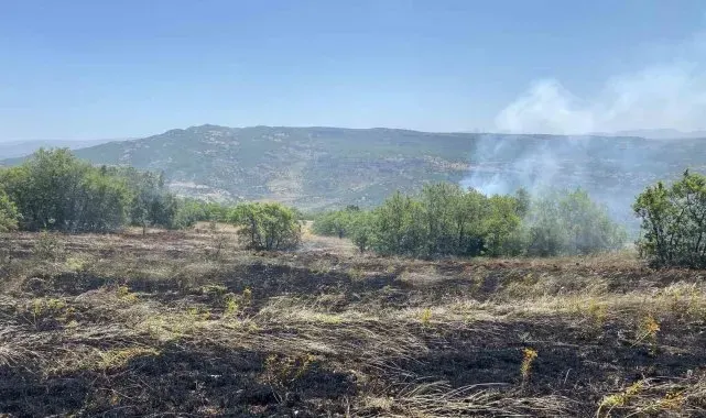 Tunceli'de 3 ayrı bölgede çıkan yangınlardan 2'si söndürüldü, 1'ine müdahale sürüyor