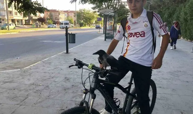 Erzincan'da karga ile lise öğrencisinin dostluğunu görenler imreniyor
