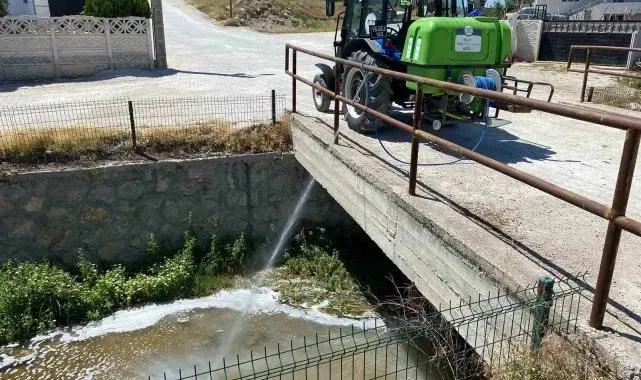 Alaca'da vektörel mücadele çalışmaları hızlandı