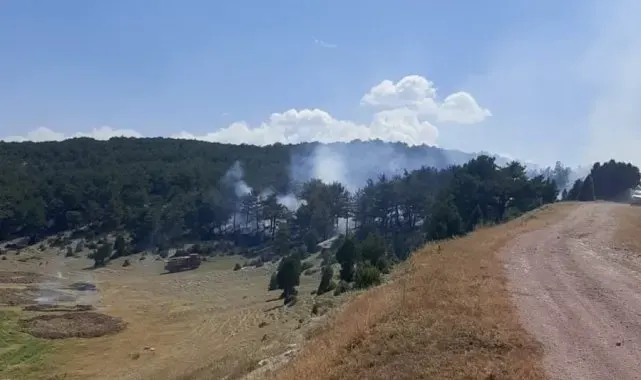 Kütahya'da orman yangını kontrol altına alındı