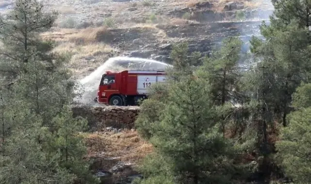 Şanlıurfa'da ormanlık alanlara giriş yasaklandı
