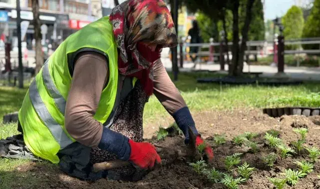 Sincan çiçeklerle donatıldı
