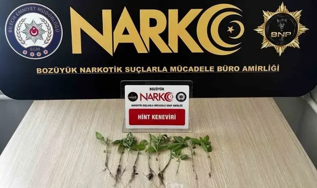 Bilecik'te evinde uyuşturucu yetiştiren şüpheliyi eşi ele verdi