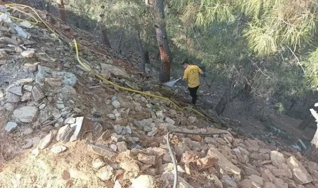 Ormanlık alandaki yangın büyümeden söndürüldü