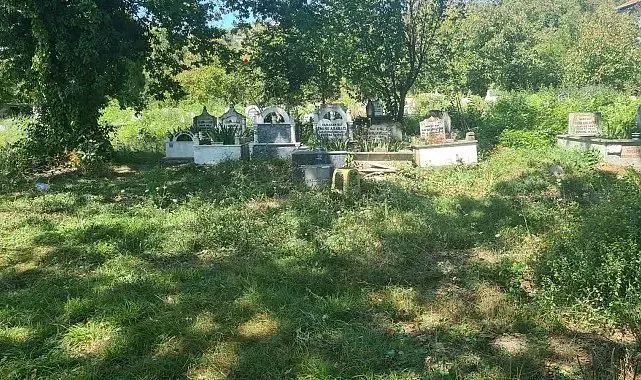 Bebek cesedi gömüldüğü ihbar edilen yere kedi gömüldüğü ortaya çıktı