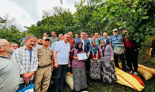 Ordu'da yaklaşık 1 ton fındık cami ihtiyaçları için toplandı