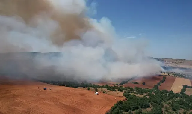 Kula'daki orman yangını kontrol altına alındı