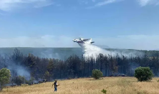 Eceabat'taki orman yangını devam ediyor