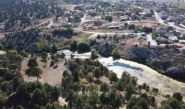 Beyşehir'in simge misafirleri göç etti, yuvalar boş kaldı