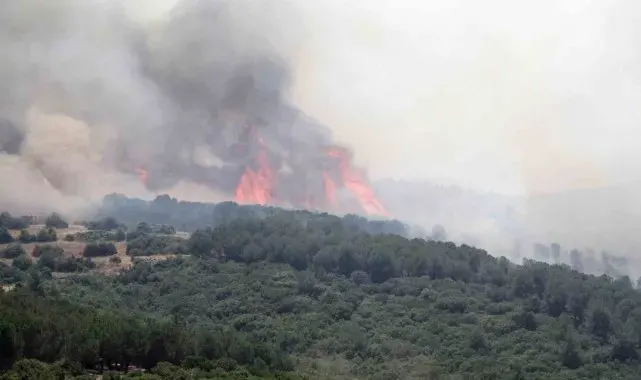 Biçerdöver kaynaklı yangın ormana sıçradı
